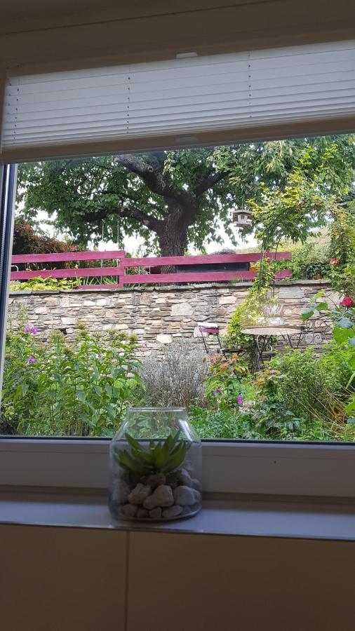 Blick Ueber Krems Mit Gartenpavillon Exterior foto